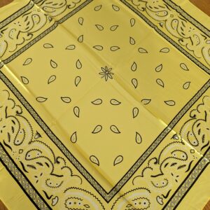 Foulard carré satiné paisley 90x90 cm - style bandana